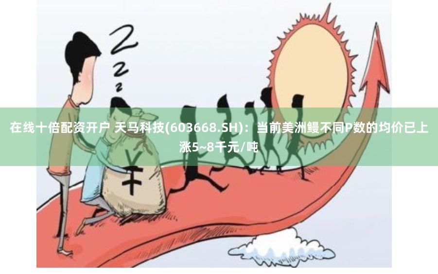在线十倍配资开户 天马科技(603668.SH)：当前美洲鳗不同P数的均价已上涨5~8千元/吨