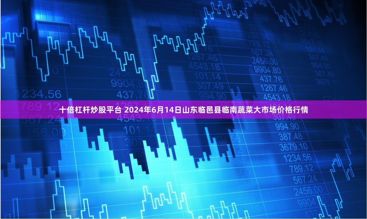 十倍杠杆炒股平台 2024年6月14日山东临邑县临南蔬菜大市场价格行情