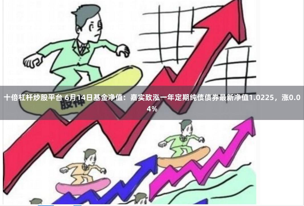 十倍杠杆炒股平台 6月14日基金净值：嘉实致泓一年定期纯债债券最新净值1.0225，涨0.04%