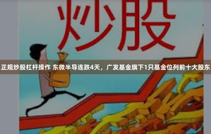 正规炒股杠杆操作 东微半导连跌4天，广发基金旗下1只基金位列前十大股东
