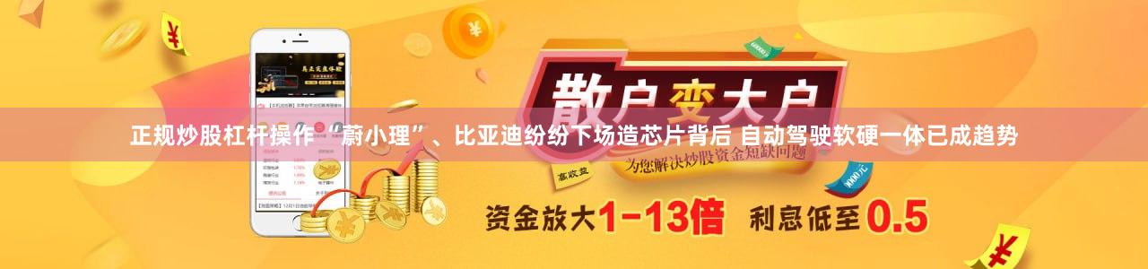 正规炒股杠杆操作 “蔚小理”、比亚迪纷纷下场造芯片背后 自动驾驶软硬一体已成趋势