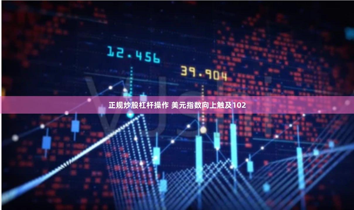 正规炒股杠杆操作 美元指数向上触及102