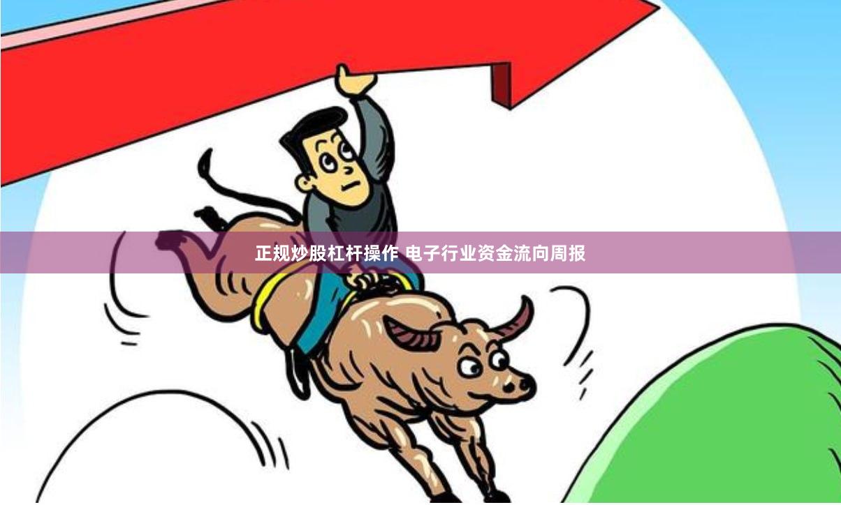 正规炒股杠杆操作 电子行业资金流向周报