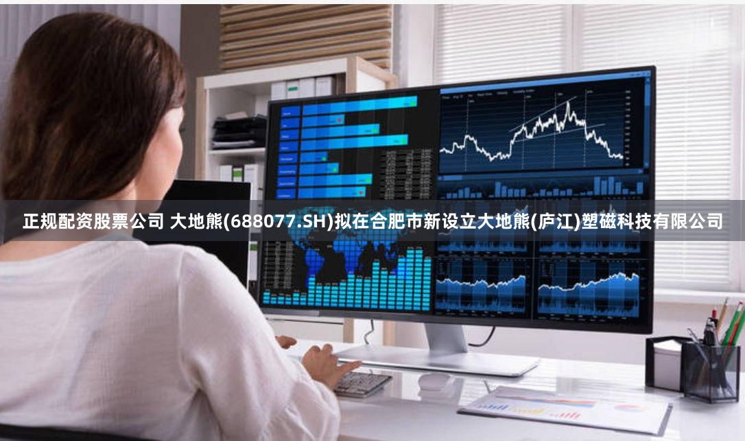 正规配资股票公司 大地熊(688077.SH)拟在合肥市新设立大地熊(庐江)塑磁科技有限公司